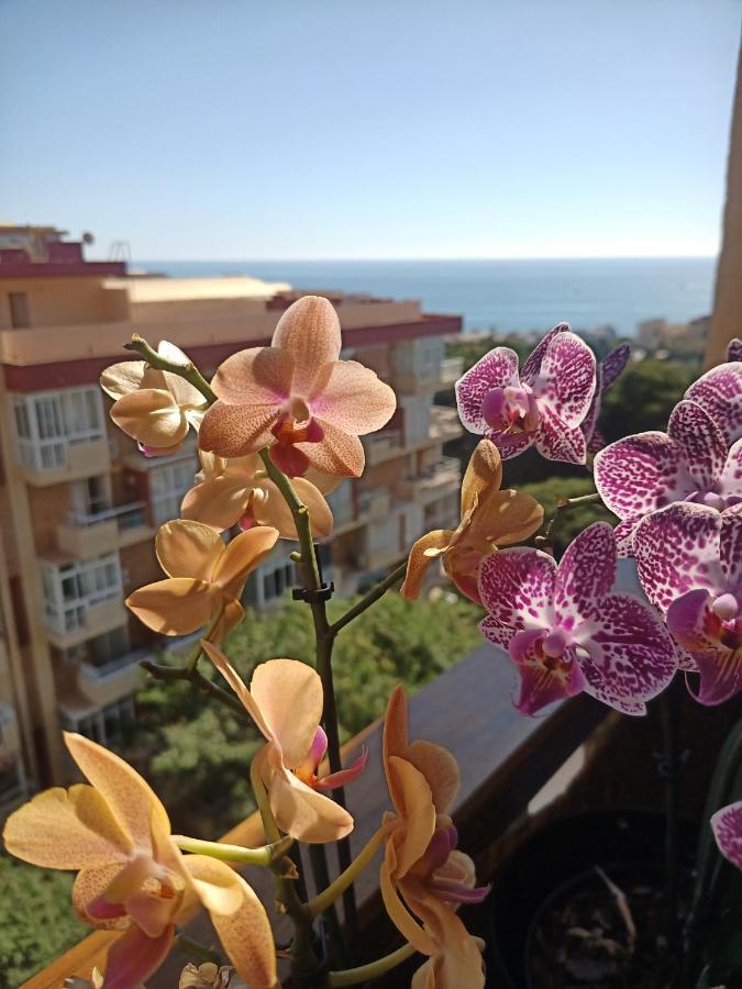 Sweet Home Benalmadena, Estudio Con Vistas Al Mar Y Excelente Conexion Wifi, Para No Fumadores, Con Piscinas, Sea Views, With Swimming Pools, Completely Renovated, Ideal For Older People, Bright With Morning Sun, No Smoking Benalmádena Exterior foto